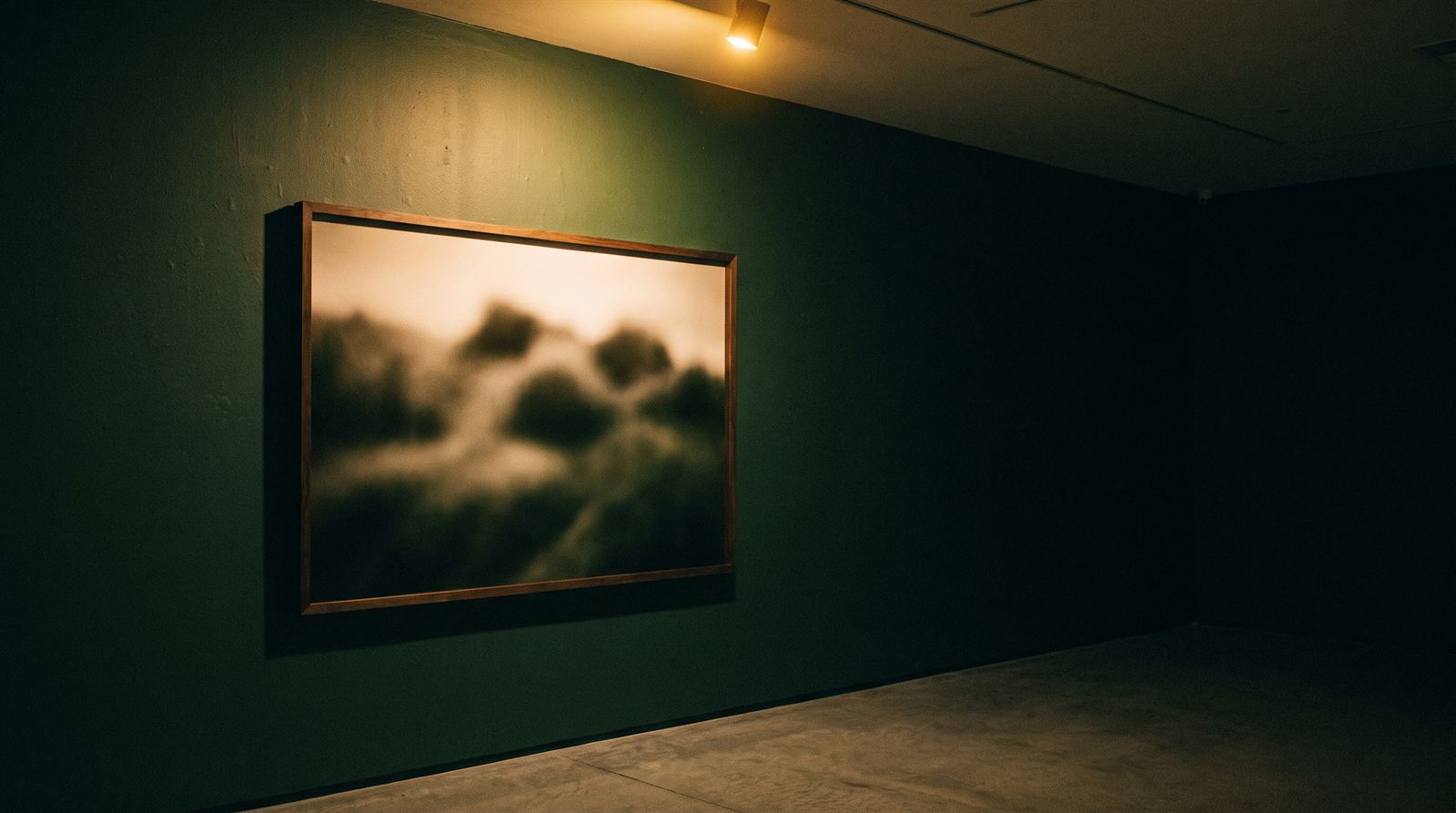 A single large framed photograph lit on a deep green gallery wall, the rest of the room in shadow.
